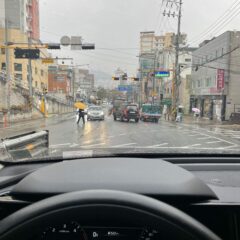 체계적이고 철저한 강의