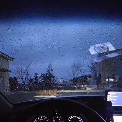 세상이 더 넓어진 느낌 후기 이미지