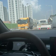 주말 산책에 드라이빙 후기 이미지