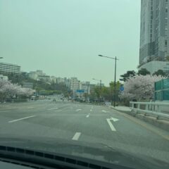 고속도로 터널 운전 후기 이미지